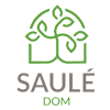 Saulé Dom